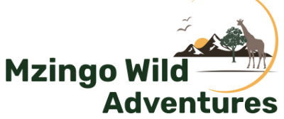 Mzingo Wild Adventures logo: a giraffe, acacia tree, and rising sun inside a gold ring beside the wordmark.
